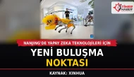 Nanjing'de yapay zeka teknolojileri için yeni buluşma noktası