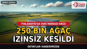 Finlandiya'da veri merkezi krizi: 250 bin ağaç izinsiz kesildi