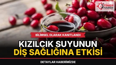 Kızılcık suyunun diş sağlığına etkisi bilimsel olarak kanıtlandı