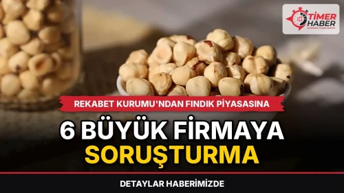Rekabet Kurumu'ndan fındık piyasasına 6 büyük firmaya soruşturma