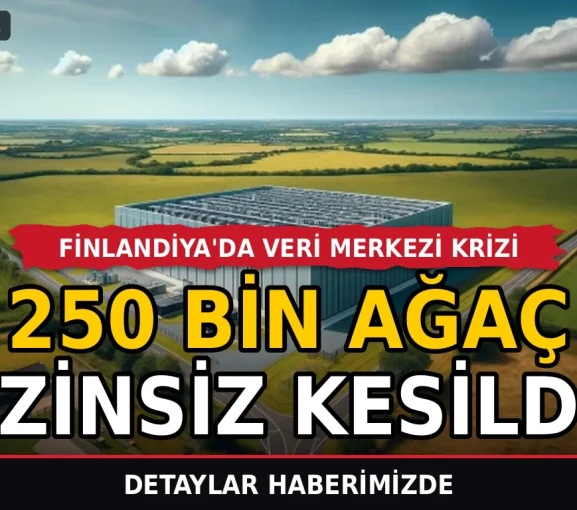 Finlandiya'da veri merkezi krizi: 250 bin ağaç izinsiz kesildi